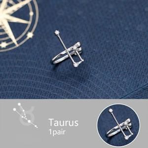 NEW 925 Silver Zodiac Taurus Earrings